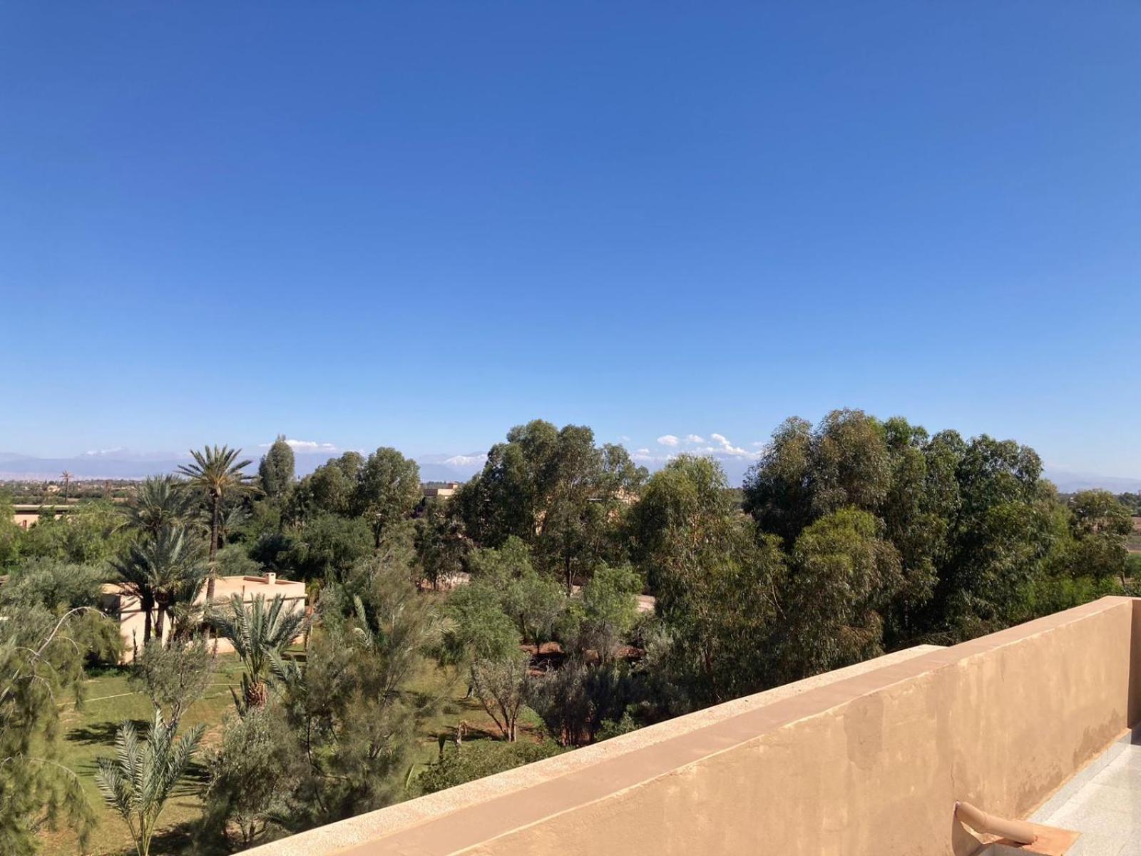 Family Palms Luxe Villa Marrakech With Private Pool Marrakesh Ruang foto